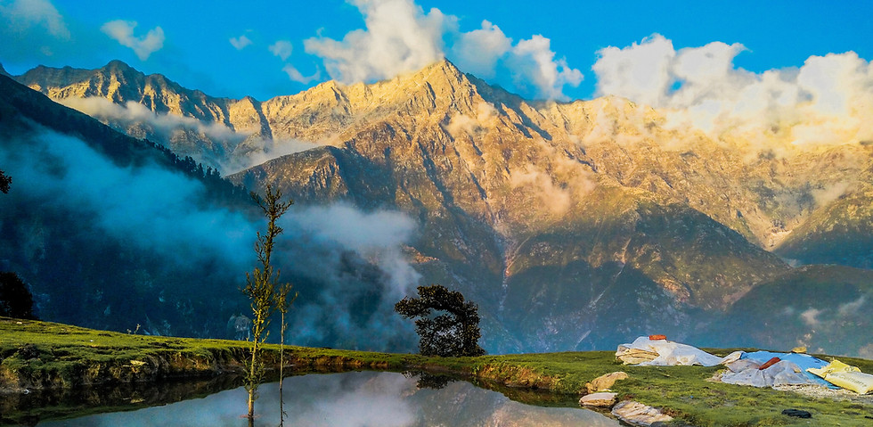 Landscape