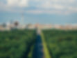 Berlin Tiergarten