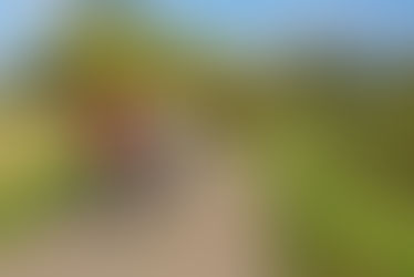 Ontdek de regio op de fiets – huur eenvoudig bij Bicyclestore Leek!