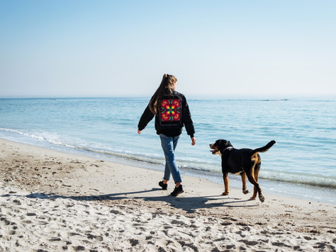spaziergang-am-strand