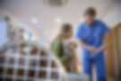 Veterinarian talking to dog owner