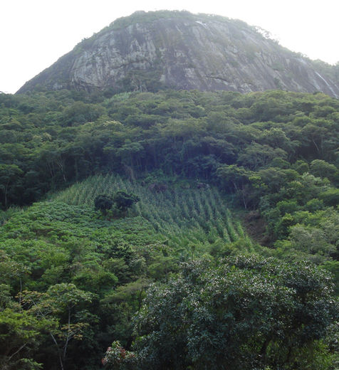 Delimitação de APP e Reserva Legal com uso de geoprocessamento e imagens aéreas