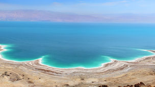 תואר שני בלימודי סביבה 