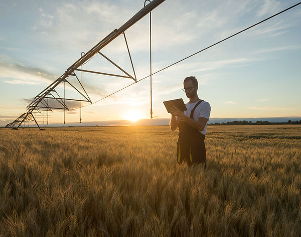 AgriGPT Contact Form