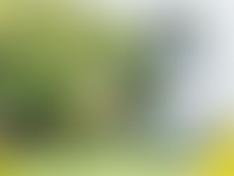 近日公開予定