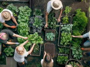 Sviluppo rurale, contributi 2025 per inclusione sociale ed economica