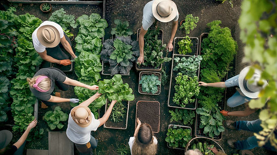 Community Gardening Effort