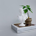 Decorações de Interiores