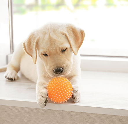 Learn more about Nicole