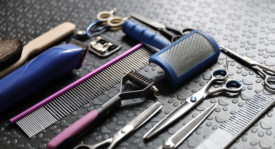 Dog Grooming Tools