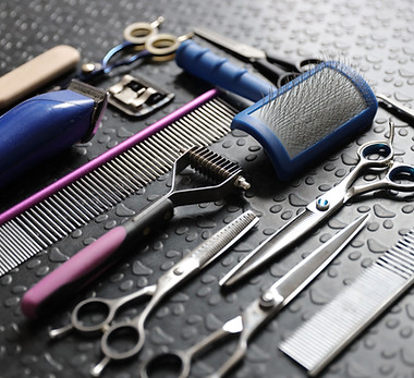 Dog Grooming Tools