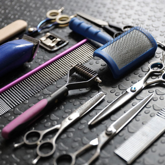 Dog Grooming Tools
