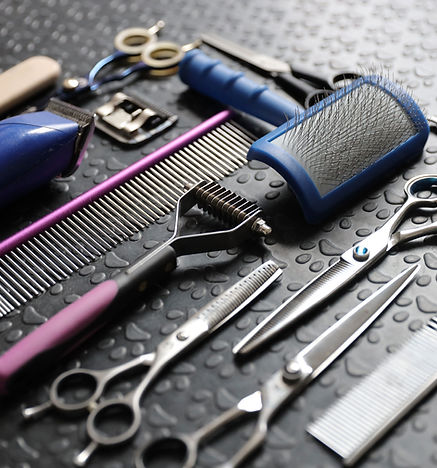 Dog Grooming Tools