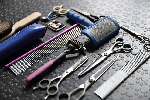 Dog Grooming Tools