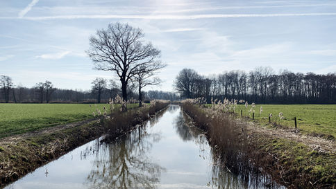 Nieuw project: ‘Herstel onderwaternatuur Gooimeer-Noord'