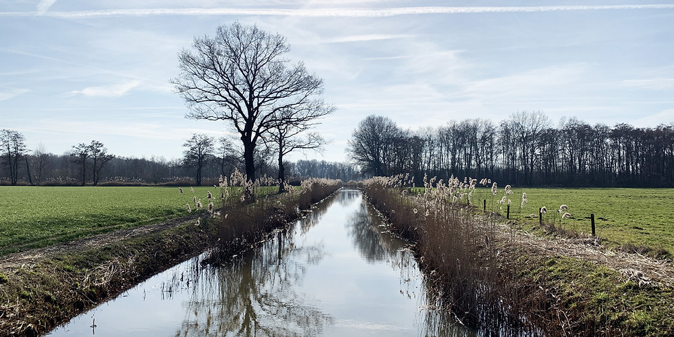 Chilling at the Rijn