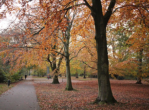 Autumn