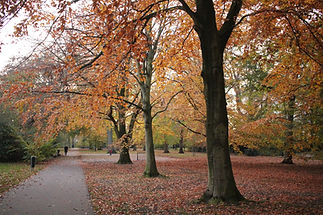 Autumn