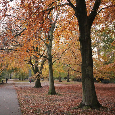 Autumn