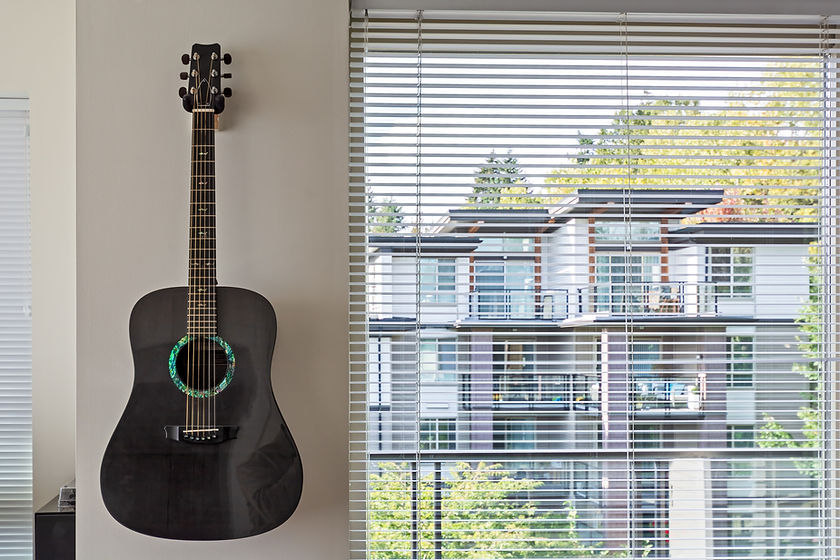 Accoustic Guitar