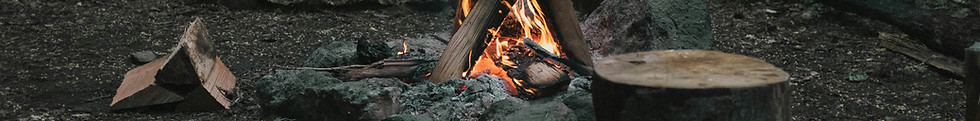 Campfire in Forest