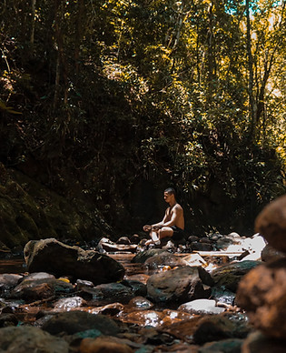 Meditando en la naturaleza