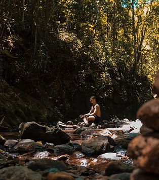 Meditación en el bosque