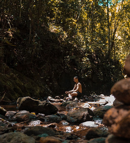 Meditación en el bosque