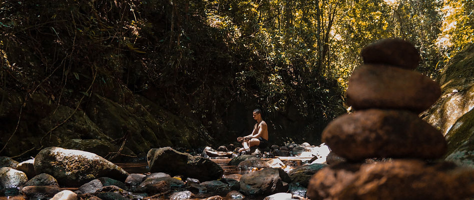 Meditation in forest