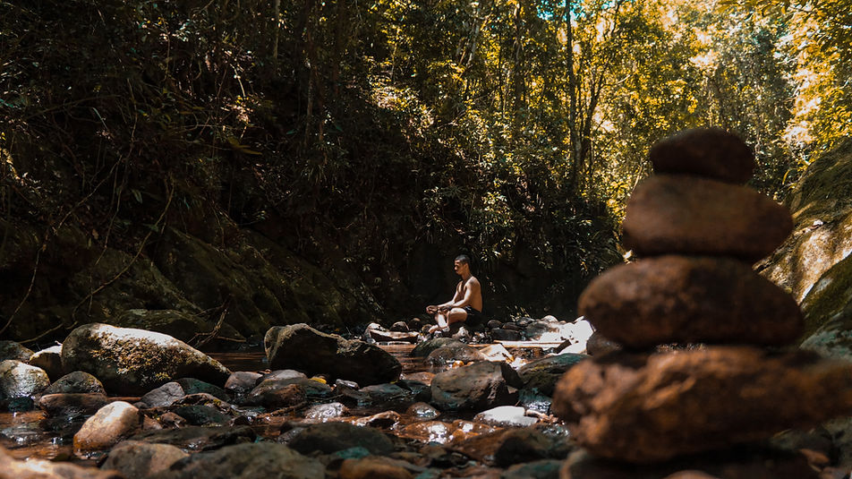 Méditation en forêt