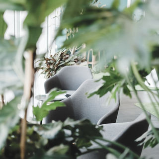 Beyond Well-Being: The Importance of Air Quality in your Space