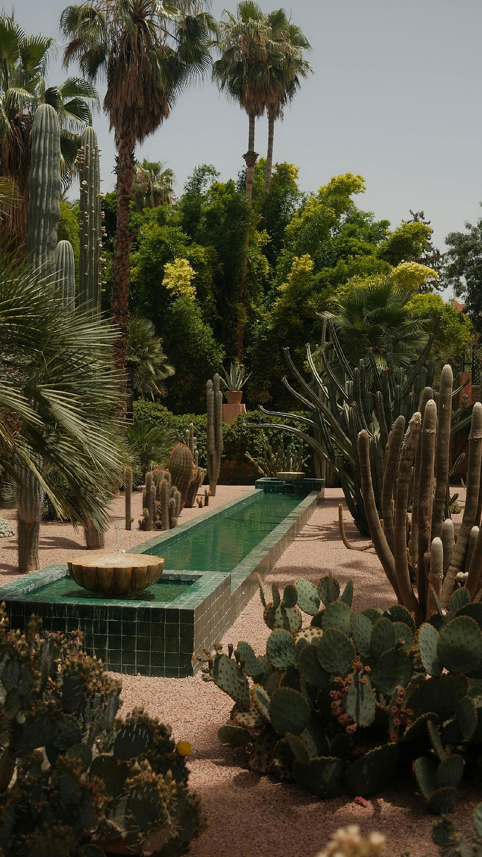 Cactus Garden with Water Fountain