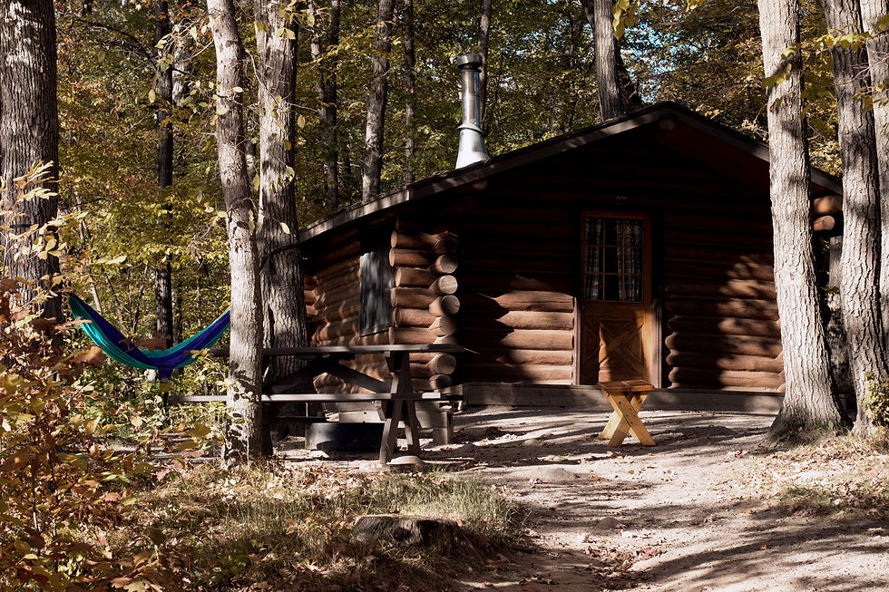 Cabin in Forest
