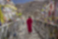 Buddhist Monk