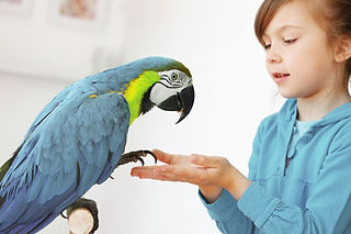 Girl With Parrot