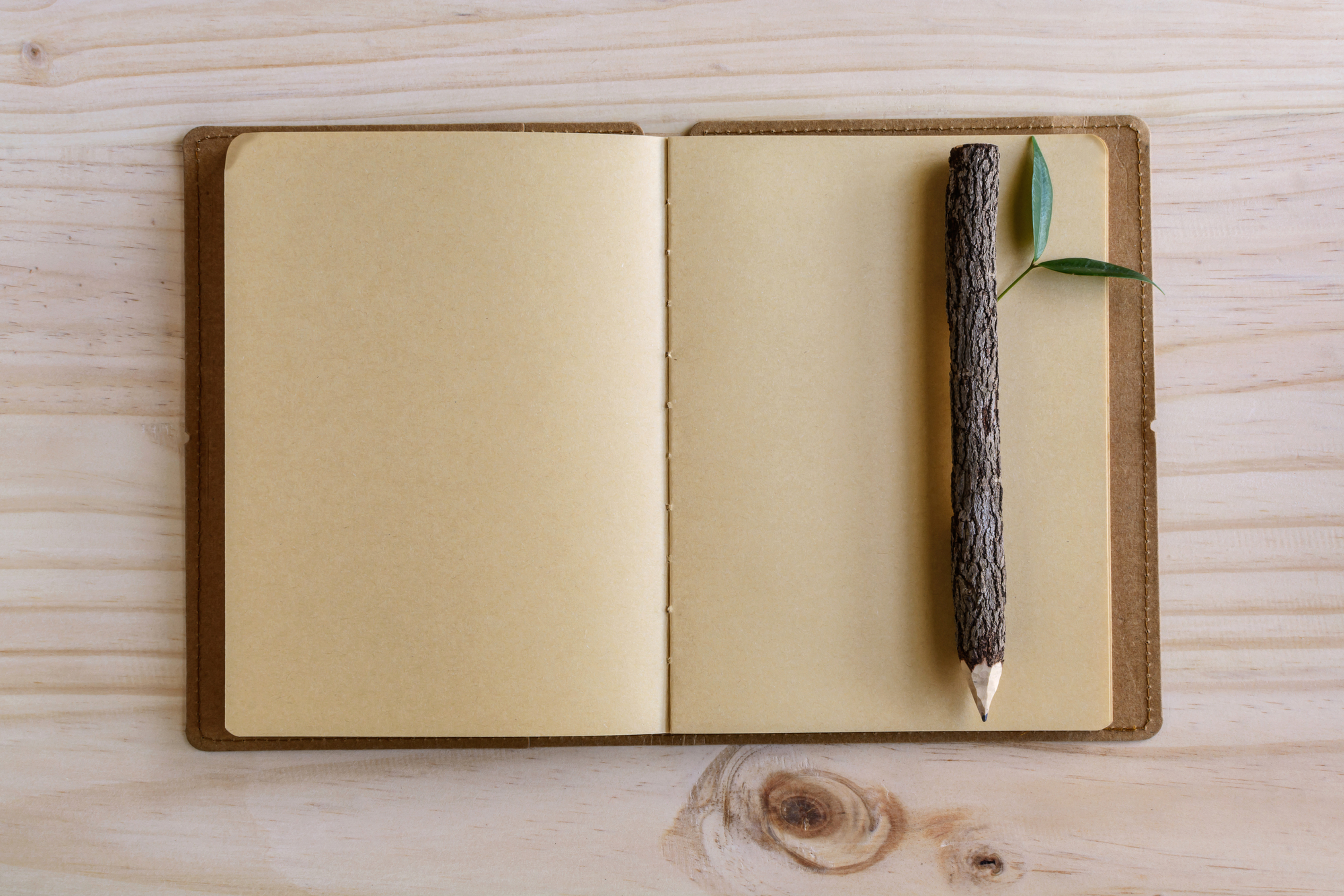 Bamboo NoteBook