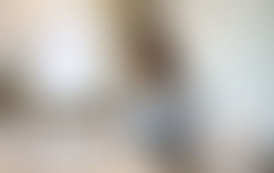 Don't panic if your NC LLC or corporation was administratively dissolved