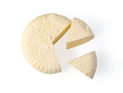 Cheese
