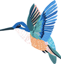 Colorful Hummingbird Illustration