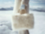 Fur Bag in Snow