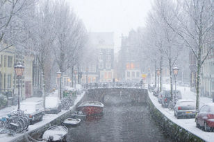 〔小龜塔羅〕翻書占卜：為何他會對我冷淡?