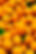 Oranges