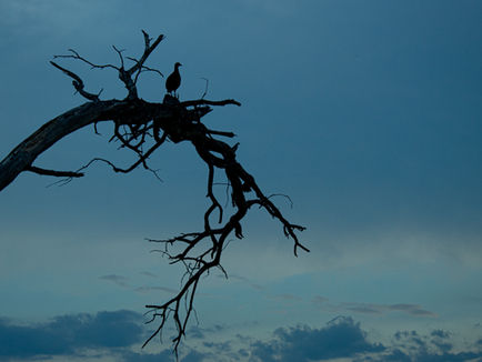 Kontrowersje w Minneapolis: federalni agenci ICE i napięcia z mediami