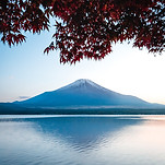 富士山と湖の景色