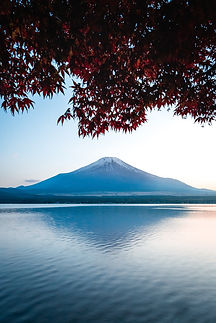 富士山と湖の景色
