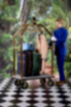 Bellhop with Luggage