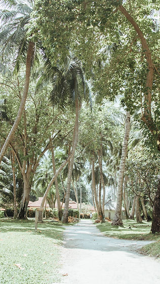 Tropical Resort