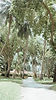 Tropical Resort