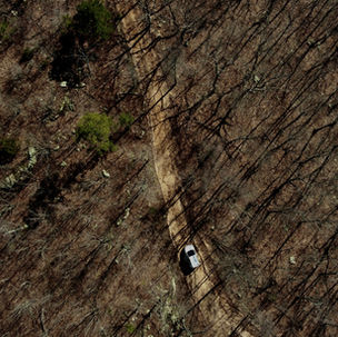 Overview of the Environmental Agenda of the Lula Administration: Part III