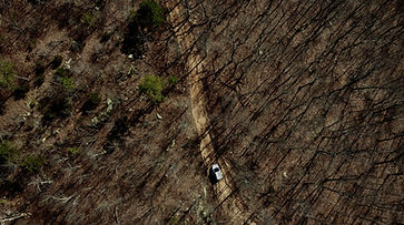 stage vtt dh en alsace